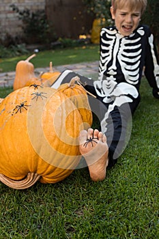 7-year-old boy wearing a skeleton costume sits on the grass near a large pumpkin
