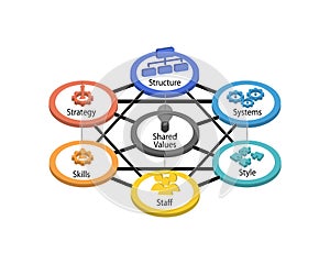 7S Model refers to a tool that analyzes a company organizational design