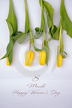 8 march text on yellow tulips on white background. greeting card concept. sensual tender girly image. spring flowers in soft morni