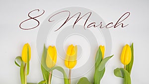 8 march text on yellow tulips on white rustic wooden background. greeting card concept. sensual tender girly image. spring flowers