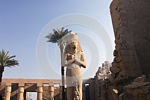 86 Colossus of Ramses II