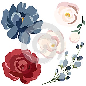 869 flowers, set of flowers, vector drawing