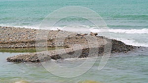 8K Promontory Headland Formed by Naturally Occurring Sand Piles in Estuary Sea