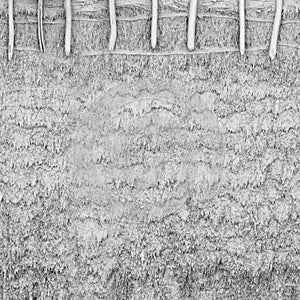 8K reed roof roughness texture, height map or specular for Imperfection map for 3d materials, Black and white texture