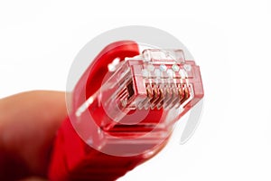 8P8C, RJ-45 crimped red ethernet connector, unshielded twisted pair UTP internet cable end in hand, macro, detail, closeup