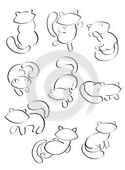 9 cats