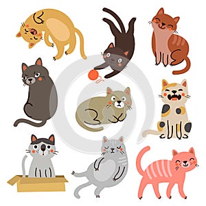 9 cats. vector characters collection