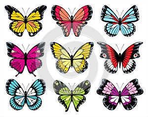 9 colorful butterfly icons