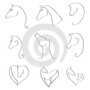 9 Elegant Hand Drawn Horse Vectors