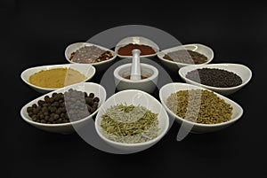 9 Healthy spices in dished with mortar and pestle in center