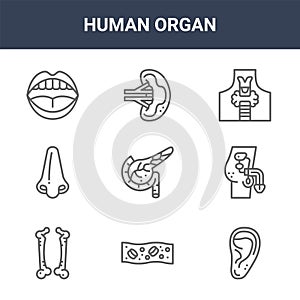 9 human organ icons pack. trendy human organ icons on white background. thin outline line icons such as ear, penis, spleen . human
