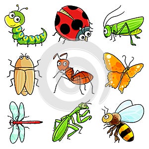 9 Insect icon