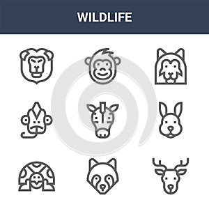 9 wildlife icons pack. trendy wildlife icons on white background. thin outline line icons such as deer, rabbit, monkey . wildlife