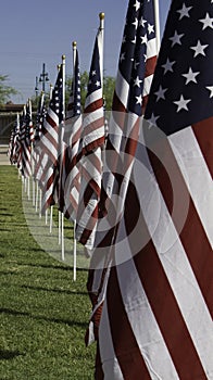 911 Memorial Healing Field American Flags