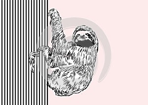 912_Cheerful hanging sloth. Striped background