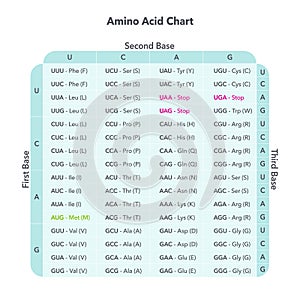 Amino Acid Codon Table genome sciences vector graphic