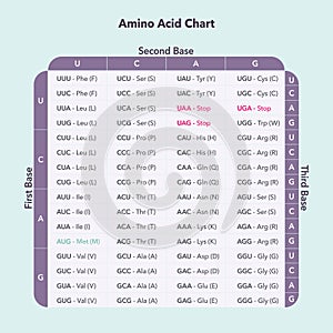 Amino Acid Codon Table genome sciences vector graphic