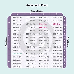 Amino Acid Codon Table genome sciences vector graphic photo