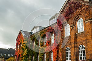 Aalborg, Denmark: Charming quiant streets with colorful traditional danish houses in historic Aalborg old town