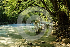 Aapsta mountain river, Abkhazia