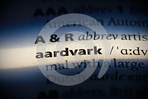 Aardvark