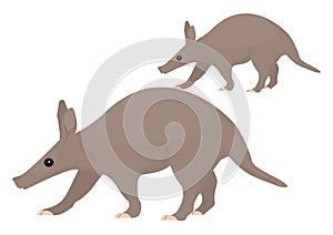 Aardvark animal, icon