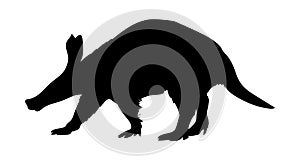 Aardvark vector illustration black silhouette