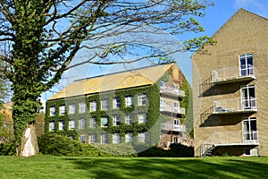 Aarhus University campus