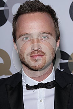Aaron Paul