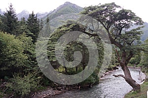 Aba prefecture in sichuan province, four girls mountain