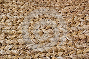 Abaca