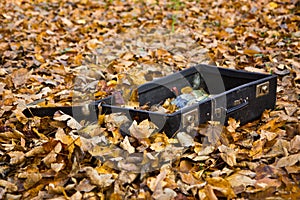 Abadoned old suitcase burried in the fallen yllow leaves