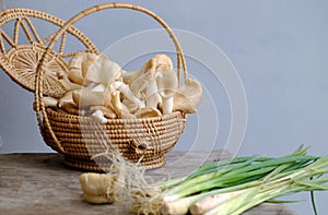 Abalone mushroom, citronella plant, Vietnamese vegan food ingredient
