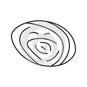 abalone sea shell beach line icon vector illustration