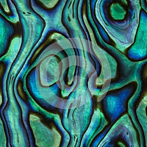 Abalone seamless texture, shell and pearl, 3d illustration photo