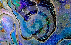 Abalone shell background