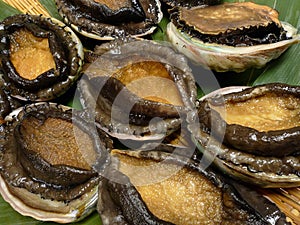 Abalones