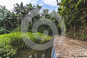 Abandon Bano Oro Swim area in El Yunque National Forest, Puerto Rico photo