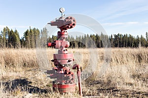 Abandonded natural gas wellhead