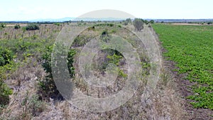 Abandoned agricultural fields in Bulgaria