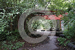 An abandoned amusement park