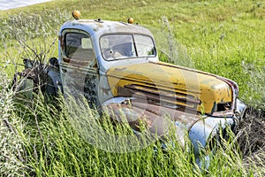 Abandoned antique blue and yellow truck in tall grass near Wymark, SK