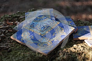 Abandoned artistic hand made tiles on a mossy stone