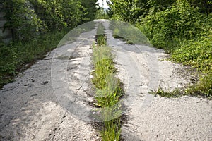 Abandoned asphalt cracked road with overgrown plants and grass in the middle of nowhere in some ghost city.  The concept of