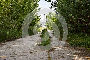 Abandoned asphalt cracked road with overgrown plants and grass in the middle of nowhere in some ghost city.  The concept of