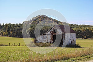 Abandoned barn in the green, sunlit field, trees, clear sky background, Iowa