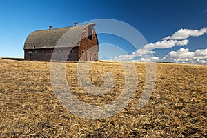 Abandoned barn in harvested wheat field