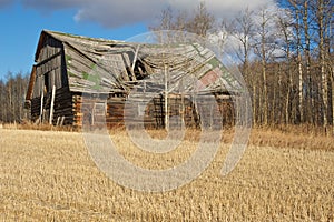 Abandoned barn in harvestedwheat field