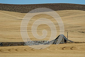 Abandoned Barn in Palouse Region of Eastern Washington