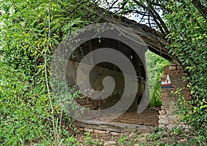 Abandoned barn surrounded by bunch of plants and trees
